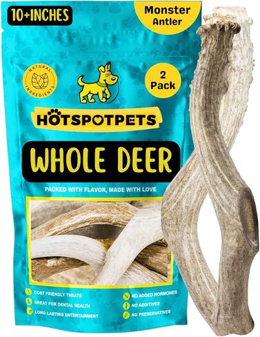 hotspot pets Premium Whole Deer Antlers for Dogs - 8+ Inch X-Large Deer Antler Dog Chews - Naturally Shed for Large Breed Aggressive Chewers - Sourced in USA (1, X-Large Antler) in Kuwait