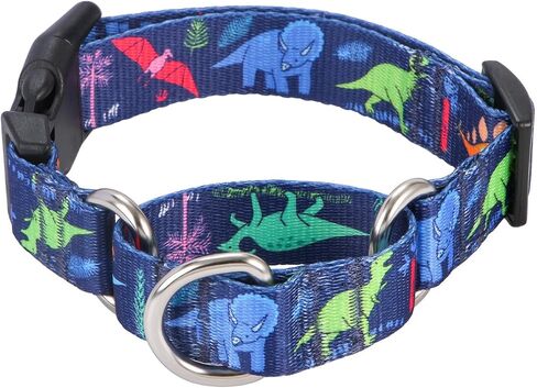 Rhea Rose Dog Martingale Collar with Quick Release Buckle, Adjustable Soft Escape Proof Collar, Training Collar, Dinosaur Patterns, Large in Saudi Arabia