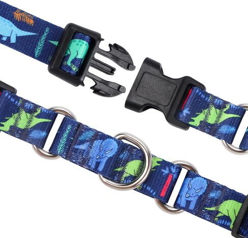 Rhea Rose Dog Martingale Collar with Quick Release Buckle, Adjustable Soft Escape Proof Collar, Training Collar, Dinosaur Patterns, Large in Saudi Arabia