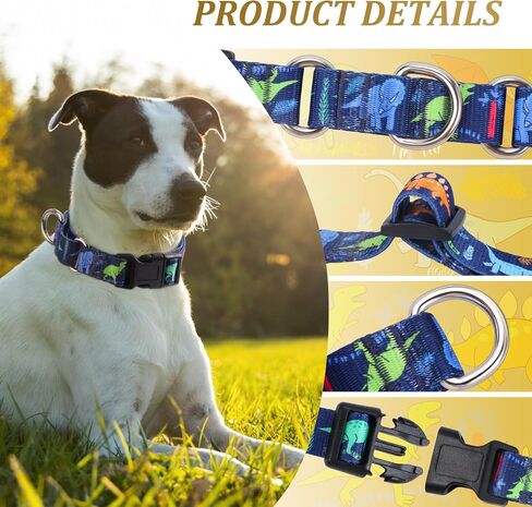 Rhea Rose Dog Martingale Collar with Quick Release Buckle, Adjustable Soft Escape Proof Collar, Training Collar, Dinosaur Patterns, Large in Saudi Arabia
