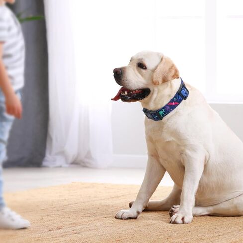 Rhea Rose Dog Martingale Collar with Quick Release Buckle, Adjustable Soft Escape Proof Collar, Training Collar, Dinosaur Patterns, Large in Saudi Arabia