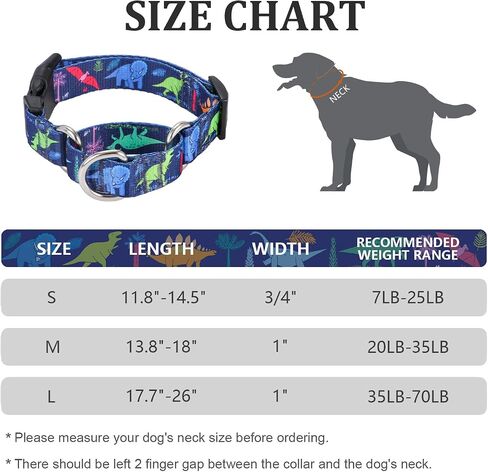Rhea Rose Dog Martingale Collar with Quick Release Buckle, Adjustable Soft Escape Proof Collar, Training Collar, Dinosaur Patterns, Large in Saudi Arabia