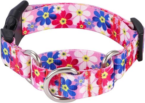 Rhea Rose Dog Martingale Collar with Quick Release Buckle, Adjustable Soft Escape Proof Collar, Training Collar, Dinosaur Patterns, Large in Saudi Arabia