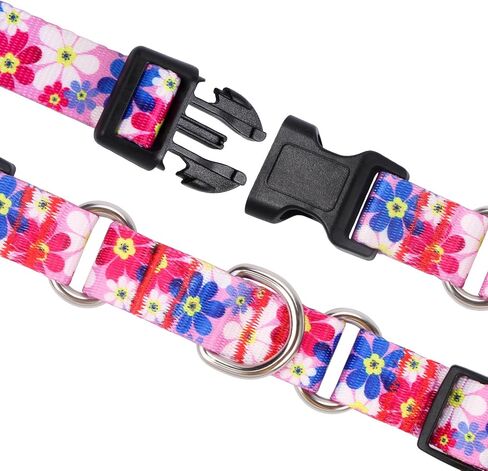 Rhea Rose Dog Martingale Collar with Quick Release Buckle, Adjustable Soft Escape Proof Collar, Training Collar, Dinosaur Patterns, Large in Saudi Arabia