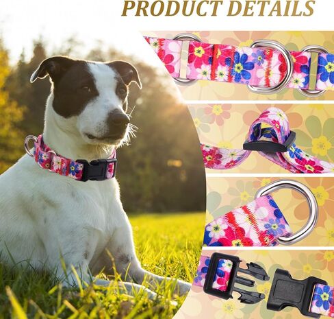 Rhea Rose Dog Martingale Collar with Quick Release Buckle, Adjustable Soft Escape Proof Collar, Training Collar, Dinosaur Patterns, Large in Saudi Arabia