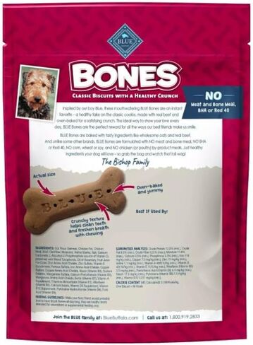 Blue Buffalo Classic Bone Biscuits with Beef Large 16 oz in Saudi Arabia