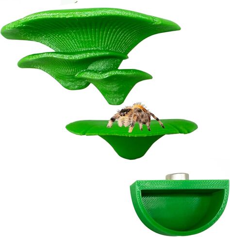 عبوتان من حواف الفطر على شكل عنكبوت قافز ووعاء ماء مع مغناطيس للعناكب القافزة، سلم بحافة مغناطيسية من ملحقات عنكبوت الحيوانات الأليفة (غير متضمنة في التررم) (أخضر) in Kuwait