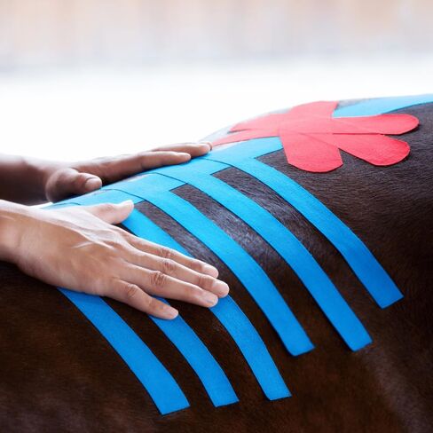 VetkinTape® Veterinary Kinesiology Tape Black | Kinesiology Tape for Horses & Dogs | Equine & Canine Kinesiotape | Latex Free and TÜV Quality Mark Certified Ktape | 4 inch | Pack of 1 Roll in Saudi Arabia