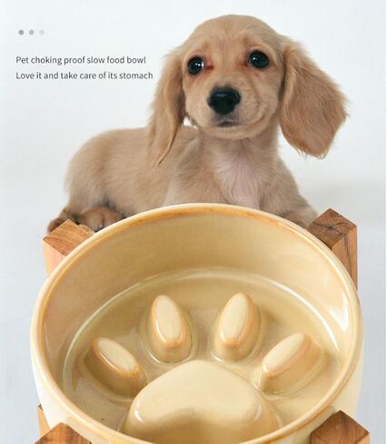 Ceramic Cat Dog Slow Food Bowls Raised Food and Water Dish with Anti-Slip Wooden Stand Elevated Round Pet Feeding Bowl Dishwasher Clean Carrying (Brown) in Saudi Arabia