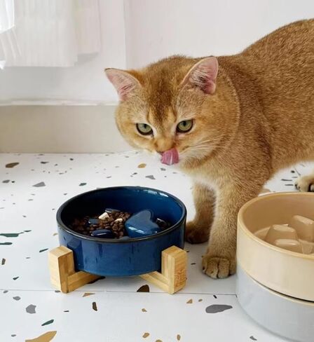 Ceramic Cat Dog Slow Food Bowls Raised Food and Water Dish with Anti-Slip Wooden Stand Elevated Round Pet Feeding Bowl Dishwasher Clean Carrying (Brown) in Saudi Arabia