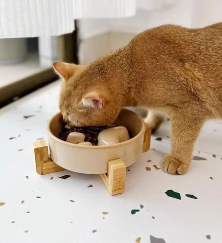 Ceramic Cat Dog Slow Food Bowls Raised Food and Water Dish with Anti-Slip Wooden Stand Elevated Round Pet Feeding Bowl Dishwasher Clean Carrying (Brown) in Saudi Arabia
