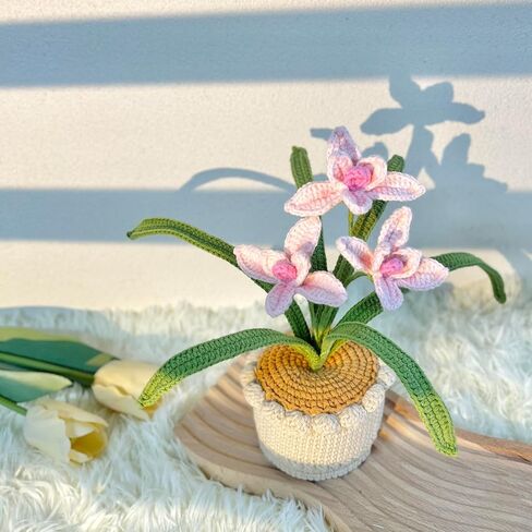 JOMODECOR نباتات كروشيه أوركيد سيمبيديوم مصنوعة يدويًا، زهور صناعية محبوكة إلى الأبد مع وعاء رائع، هدية للأصدقاء والنساء والأطفال، مثالية للديكور المنزلي، مكتب المكتب (وردي) in Kuwait