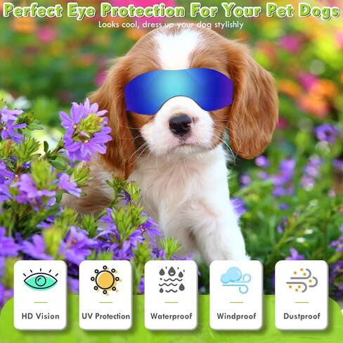 نظارات شمسية للكلاب الصغيرة، نظارات حماية من الأشعة فوق البنفسجية للكلاب الصغيرة إلى المتوسطة، نظارات مضادة للضباب للحيوانات الأليفة مضادة للرياح للجرو مع حزام قابل للتعديل (أزرق) in Kuwait