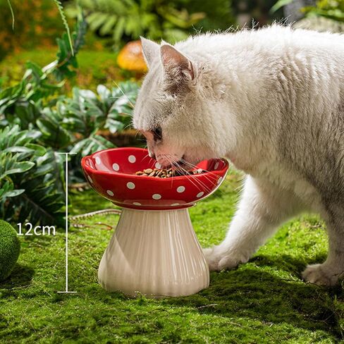 Cat Bowls Elevated Cat Bowl Raised Cat Food Bowl Anti-Vomiting Whisker Friendly Ceramic Tilted Cat Dish, Protect Spine Cat Feeder Bowl Pet Food Water Bowl Red Mushroom Cat Bowl for Kitten(Red) in Saudi Arabia