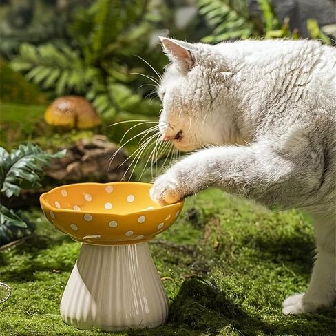 Cat Bowls Elevated Cat Bowl Raised Cat Food Bowl Anti-Vomiting Whisker Friendly Ceramic Tilted Cat Dish, Protect Spine Cat Feeder Bowl Pet Food Water Bowl Red Mushroom Cat Bowl for Kitten(Red) in Saudi Arabia