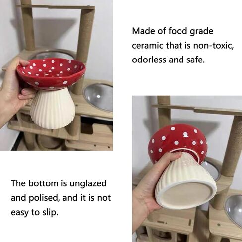 Cat Bowls Elevated Cat Bowl Raised Cat Food Bowl Anti-Vomiting Whisker Friendly Ceramic Tilted Cat Dish, Protect Spine Cat Feeder Bowl Pet Food Water Bowl Red Mushroom Cat Bowl for Kitten(Red) in Saudi Arabia