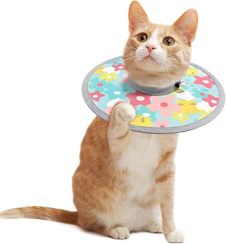 LOS ANDES Cat Recovery Collar, Adjustable Cat Protective Collar Alternative After Surgery, Protect Cat Neck Cones to Stop Licking Wound, Lightweight Elizabethan Collar for Kitten,Puppy in Kuwait