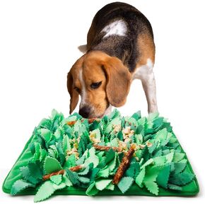 Snuffle Mat for Dogs and Cats,Interactive Dog Toys to Keep Them Busy, Enrichment Toys for Dogs to Slow Eating, Dog Puzzles for All Dogs, Machine Washable Dog Feeding Mat, green