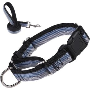 Martingale Dog Collar and Leash Set for Small Medium Large Dogs, Reflective Heavy Duty Collar for Dogs, Adjustable Durable Pet Collars with Leash for Walking, Playing, Training (Red,Large)