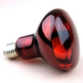 Infrared Lamp 120V~150W Therapy Bulb, Red Hard Glass, Waterproof Explosion-Proof for Physiotherapy