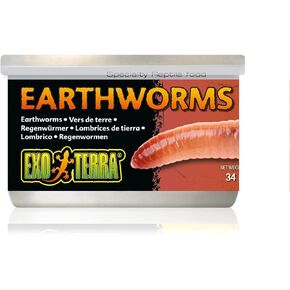 Exo Terra Specialty Reptile Food, Canned Earthworms for Reptiles