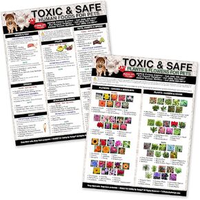 TLC Safety By Design Set of 2 Large Format Fridge Magnets Toxic and Safe Foods, Plants & Flowers Magnet Poison for Pets Dogs Cats Emergency Informative Veterinarian Approved Refrigerator 8.5" x 11"
