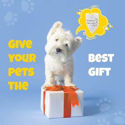 HOUNDNINE - باندانا إعلان الحمل للكلب - خمن ماذا؟ وشاح كاشف للأم الحامل - إكسسوارات للحيوانات الأليفة قابلة للغسل مصنوعة من القطن الناعم - تناسب الجراء الصغيرة إلى المتوسطة اللطيفة، مقاس - 28 × 11 in Kuwait