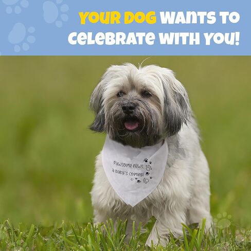 HOUNDNINE - باندانا إعلان الحمل للكلب - خمن ماذا؟ وشاح كاشف للأم الحامل - إكسسوارات للحيوانات الأليفة قابلة للغسل مصنوعة من القطن الناعم - تناسب الجراء الصغيرة إلى المتوسطة اللطيفة، مقاس - 28 × 11 in Kuwait