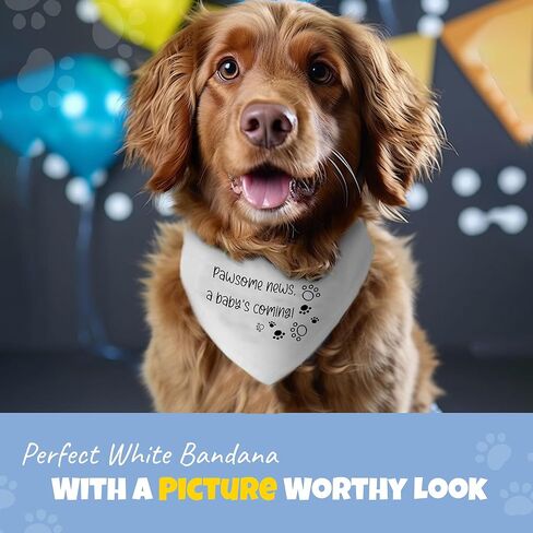 HOUNDNINE - باندانا إعلان الحمل للكلب - خمن ماذا؟ وشاح كاشف للأم الحامل - إكسسوارات للحيوانات الأليفة قابلة للغسل مصنوعة من القطن الناعم - تناسب الجراء الصغيرة إلى المتوسطة اللطيفة، مقاس - 28 × 11 in Kuwait