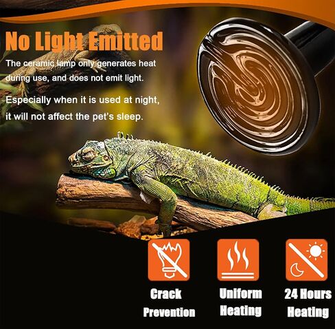 Woyrise 50W Ceramic Heat Emitter, Reptile Heat Lamp Bulbs, No Light Emitting Brooder Coop Heater for Amphibian Pet & Incubating Chicken, Black (2-Pack) in Kuwait