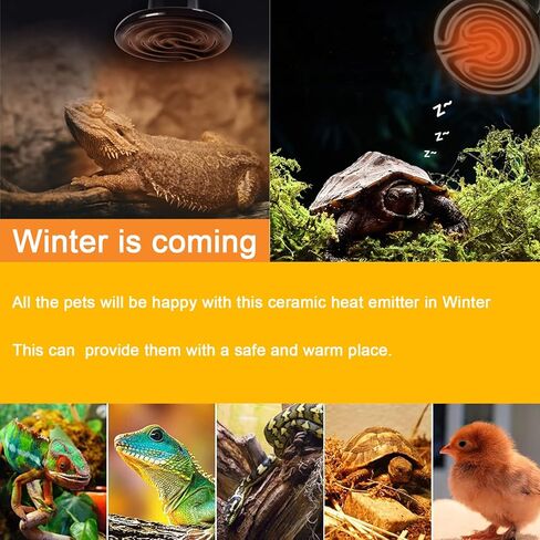 Woyrise 50W Ceramic Heat Emitter, Reptile Heat Lamp Bulbs, No Light Emitting Brooder Coop Heater for Amphibian Pet & Incubating Chicken, Black (2-Pack) in Kuwait