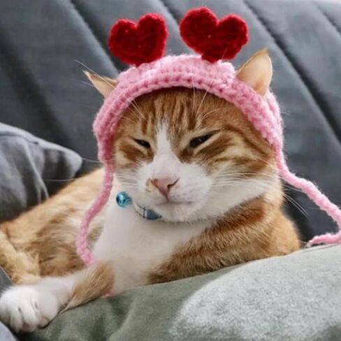 أزياء عيد الحب للقطط، عصابة رأس على شكل قلب أحمر مع فتحات للأذن وربطة عنق قابلة للتعديل للكلاب الصغيرة والقطط والحيوانات الأليفة in Kuwait