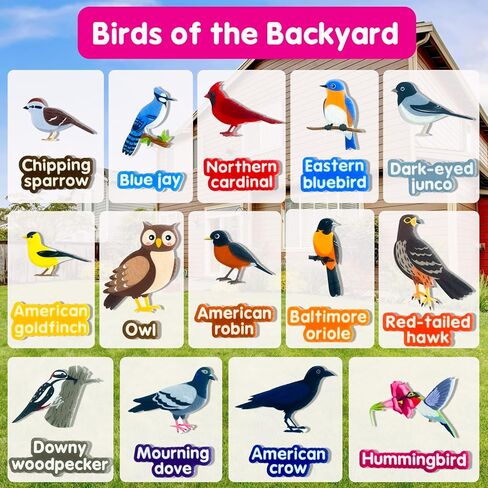 قطع الطيور الشائعة لتعلم اللباد، للوحة الفانيلا اللباد، 23 طائرًا شائعًا مع كلمات، لرياض الأطفال، ومرحلة ما قبل المدرسة، والأطفال الصغار، وهدايا للأطفال in Kuwait