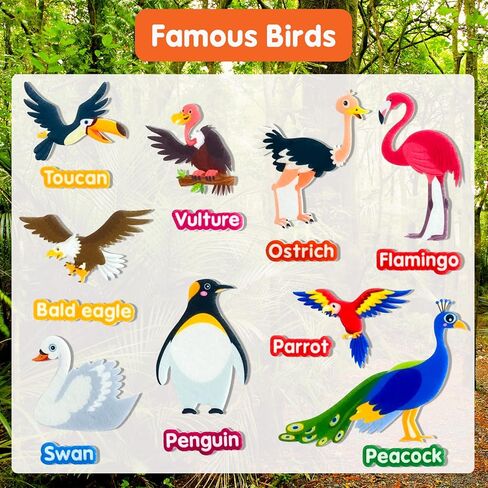 قطع الطيور الشائعة لتعلم اللباد، للوحة الفانيلا اللباد، 23 طائرًا شائعًا مع كلمات، لرياض الأطفال، ومرحلة ما قبل المدرسة، والأطفال الصغار، وهدايا للأطفال in Kuwait