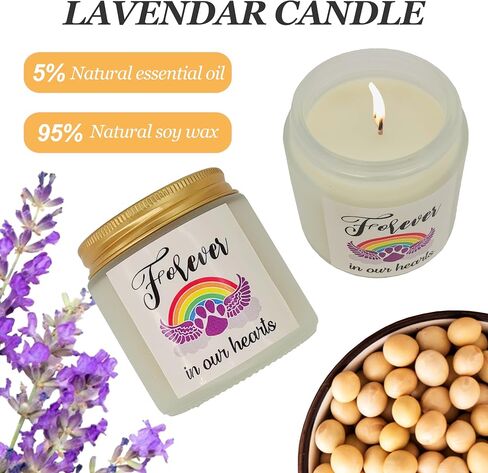 PHIELEY Sympathy Gift Baskets for Loss of Dog, Pet Condolence Grief Card Set, Puppy Passing Away Remembrance Memory Stone, Cat Rainbow Bridge Died Death Grieving Bereavement Candle Keepsake in Saudi Arabia