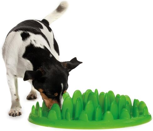 Company of Animals GREEN Slow Interactive Feeder for Dogs, Size Large, Best Fun Slow Feeder Dog Bowl, Anti-Gulp, Gobble Stopper, Mental Stimulation Dog Puzzle, Suitable for Small, Medium & Large Dogs in Saudi Arabia