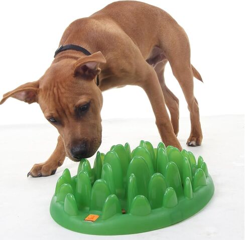 Company of Animals GREEN Slow Interactive Feeder for Dogs, Size Large, Best Fun Slow Feeder Dog Bowl, Anti-Gulp, Gobble Stopper, Mental Stimulation Dog Puzzle, Suitable for Small, Medium & Large Dogs in Saudi Arabia
