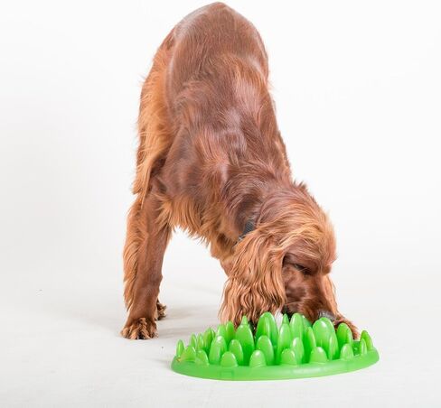 Company of Animals GREEN Slow Interactive Feeder for Dogs, Size Large, Best Fun Slow Feeder Dog Bowl, Anti-Gulp, Gobble Stopper, Mental Stimulation Dog Puzzle, Suitable for Small, Medium & Large Dogs in Saudi Arabia
