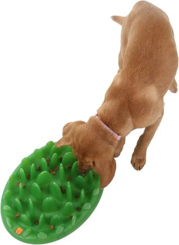 Company of Animals GREEN Slow Interactive Feeder for Dogs, Size Large, Best Fun Slow Feeder Dog Bowl, Anti-Gulp, Gobble Stopper, Mental Stimulation Dog Puzzle, Suitable for Small, Medium & Large Dogs in Saudi Arabia