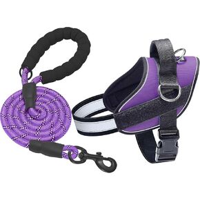 Haapaw Essential Dog Harness, No Pull Pet Vest with 3 Leash Clips, No Choke, Reflective, Adjustable and Padded, for Easy Walking and Training for Medium Dogs(M, Blue)