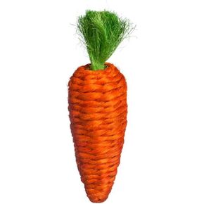 Prevue Pet Products Grassy Nibblers Carrot Small Animal Chew Toy