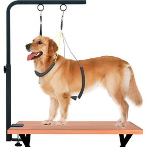 31" Dog Grooming Arm with Clamp – Adjustable Dog Grooming Table Arm Customizable Height for Small & Medium Dogs, with Grooming Loop Noose & Two No-Sit Haunch Holder Restraint, Black