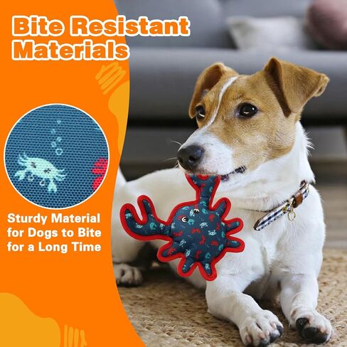 ألعاب الهالوين للكلاب، ألعاب الهالوين المصنوعة من الحبال القطنية للكلاب مع صرير، هدايا الهالوين للكلاب الصغيرة والمتوسطة والكبيرة in Kuwait