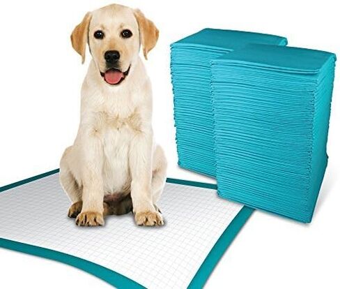 TBM Dog and Puppy Pee Pads 50 Count, 23.6 x 23.6 Inches with Leak-Proof Quick-Dry Design for Potty Training, Premium Absorbency, Large Size Puppy Pads, Blue & White in Saudi Arabia
