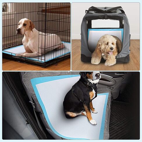 TBM Dog and Puppy Pee Pads 50 Count, 23.6 x 23.6 Inches with Leak-Proof Quick-Dry Design for Potty Training, Premium Absorbency, Large Size Puppy Pads, Blue & White in Saudi Arabia