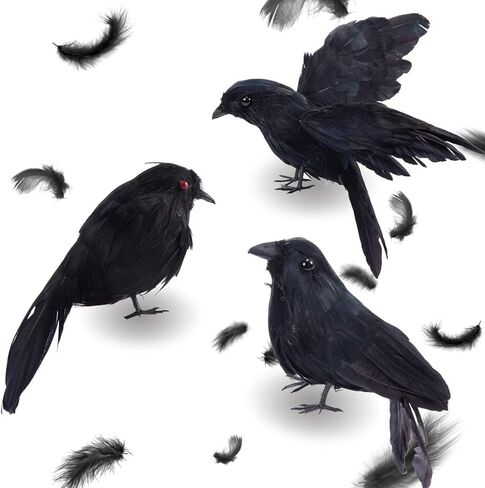 PAMASE Real Feathered Halloween Black Crows - 3 Packs Realistic Black Birds Crow Costume, Raven Decor Ornaments for Party Yard Tree Garden Patio Indoor Outdoor Decorations in Kuwait