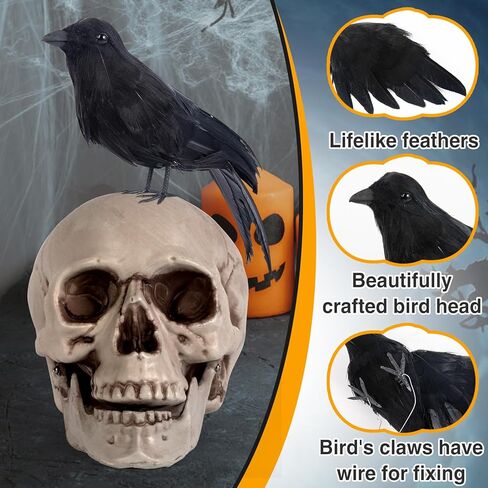 PAMASE Real Feathered Halloween Black Crows - 3 Packs Realistic Black Birds Crow Costume, Raven Decor Ornaments for Party Yard Tree Garden Patio Indoor Outdoor Decorations in Kuwait