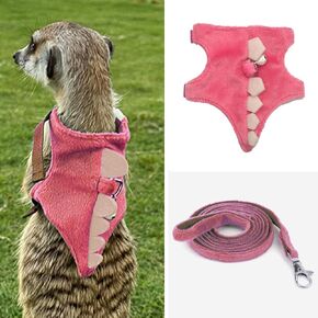 MANON ROSA Ferret Harness and Leash Set Small Animal Clothes Dinosaur Shaped Walking Vest for Baby Rabbit Guinea Pig Bunny Puppy Mouse Pets Teacup Chihuahua (Green)