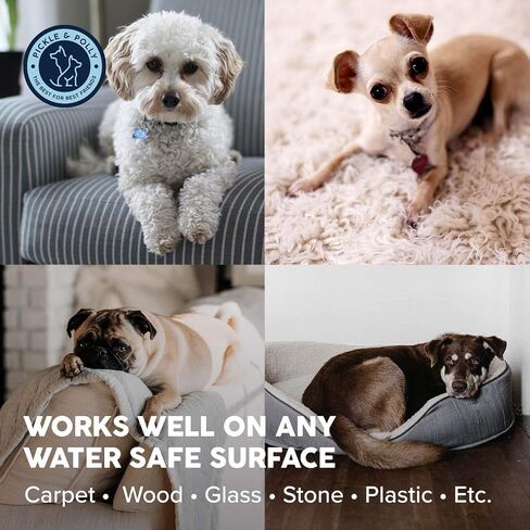 Pickle & Polly Professional Strength Pet Stain and Odor Remover for Dog and Cat Urine, Multi-Surface Cleaner for Pets, Furniture, and Homes (32oz) in Saudi Arabia