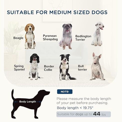 أريكة PawHut المرتفعة للكلاب، أريكة مرتفعة للحيوانات الأليفة للكلاب الصغيرة والمتوسطة، مع وسادة ناعمة قابلة للإزالة، وسادات مضادة للانزلاق، تركيب بسيط، رمادي in Kuwait